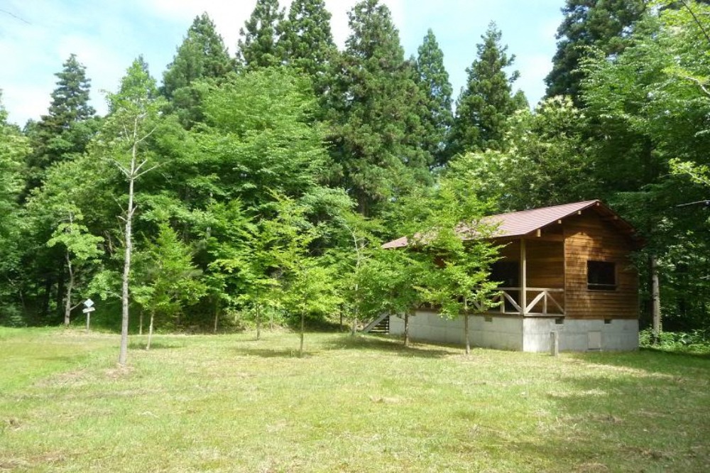 子ども 裸 キャンプ